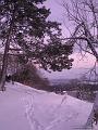 CIMG0229