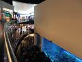 SAM_5214