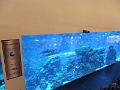 SAM_5222
